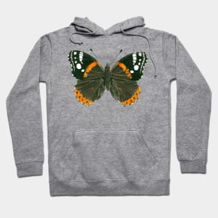 Admiral butterfly ink illustration Hoodie